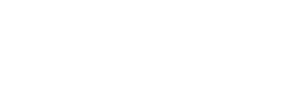 CACEIS logo
